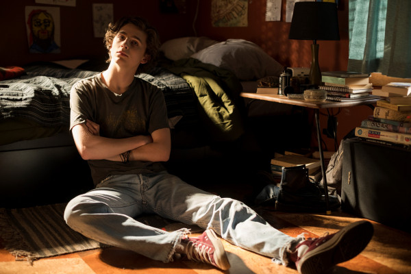 Timothée Chalamet - Beautiful Boy (2018)