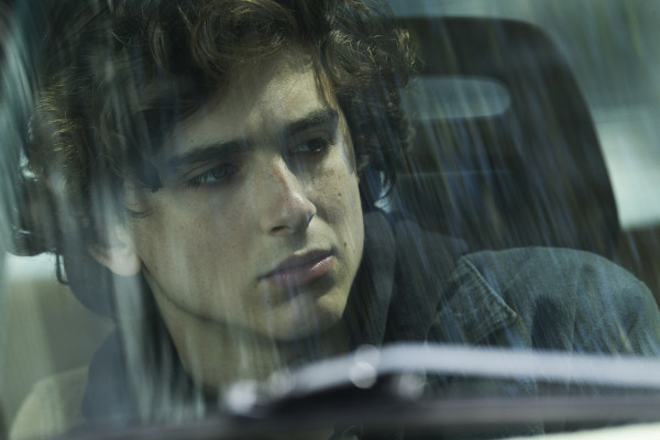 Timothée Chalamet - Beautiful Boy (2018)