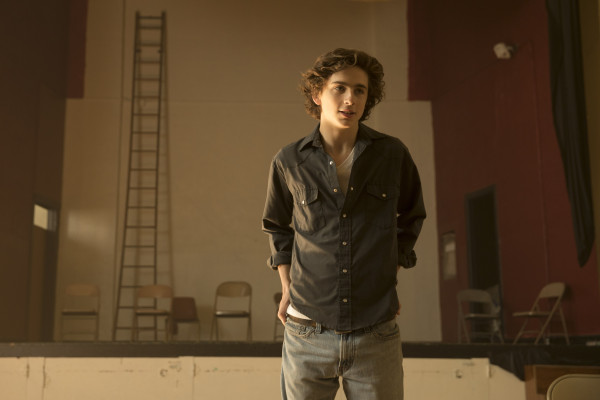Timothée Chalamet - Beautiful Boy (2018)