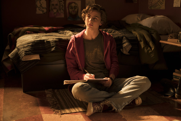 Timothée Chalamet - Beautiful Boy (2018)