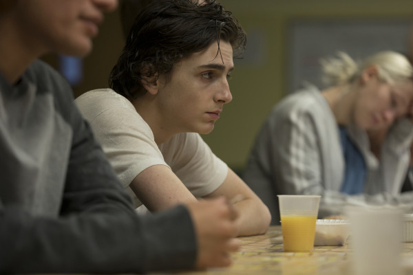Timothée Chalamet - Beautiful Boy (2018)
