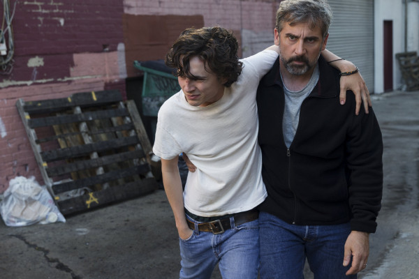 Timothée Chalamet - Beautiful Boy (2018)