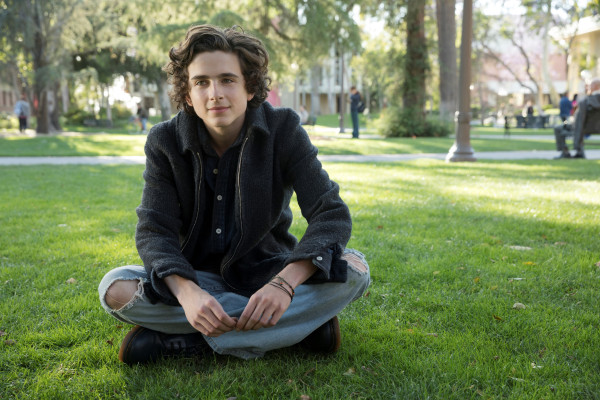Timothée Chalamet - Beautiful Boy (2018)