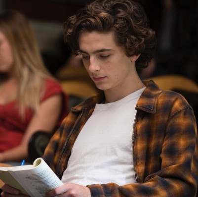 Timothée Chalamet - Beautiful Boy (2018)