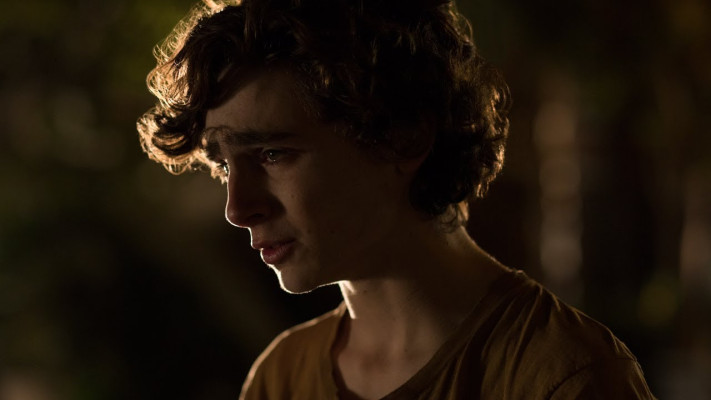 Timothée Chalamet - Beautiful Boy (2018)