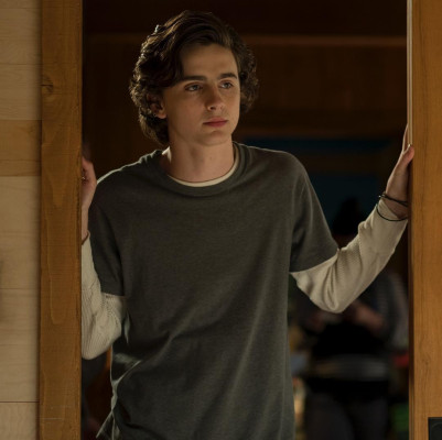 Timothée Chalamet - Beautiful Boy (2018)