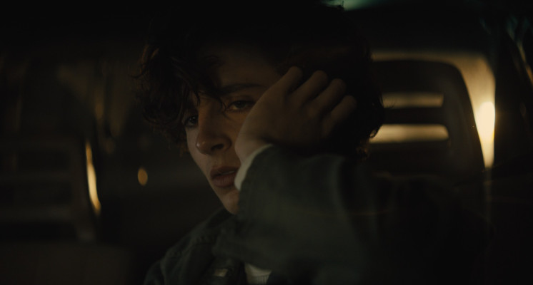 Timothée Chalamet - Beautiful Boy (2018)