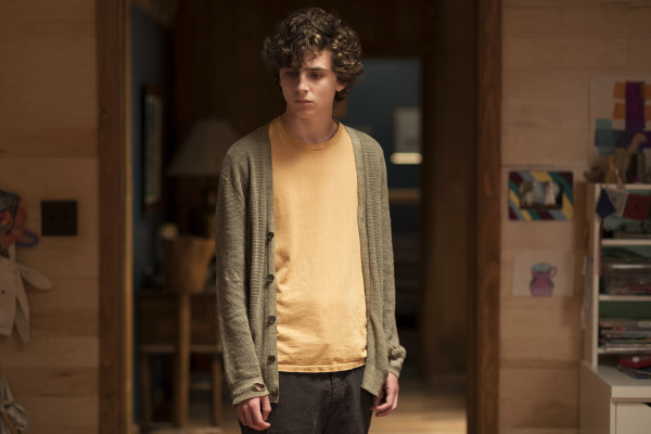 Timothée Chalamet - Beautiful Boy (2018)