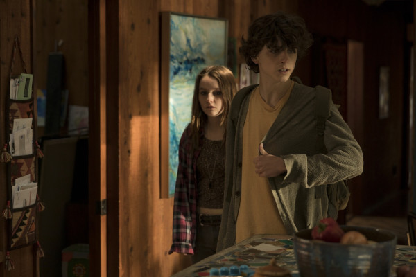 Timothée Chalamet - Beautiful Boy (2018)