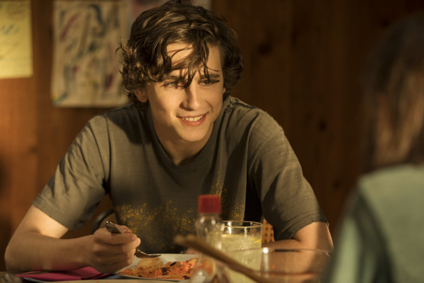 Timothée Chalamet - Beautiful Boy (2018)