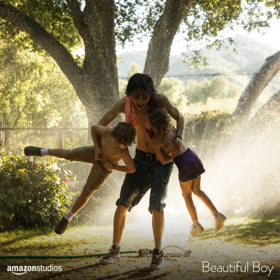 Timothée Chalamet - Beautiful Boy (2018)