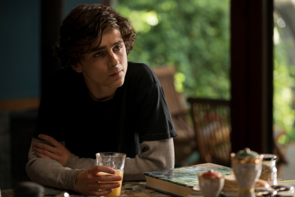 Timothée Chalamet - Beautiful Boy (2018)