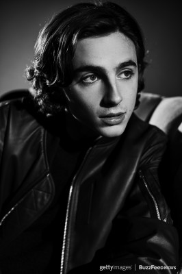 photo 25 in Chalamet gallery [id1007488] 2017-10-29 00:00:00