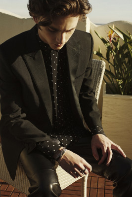 Timothée Chalamet