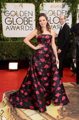Tina Fey pic #692234