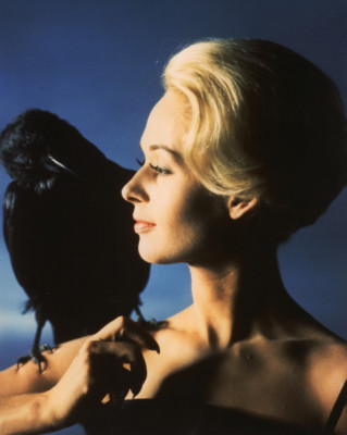 photo 3 in Hedren gallery [id396997] 2011-05-23 00:00:00