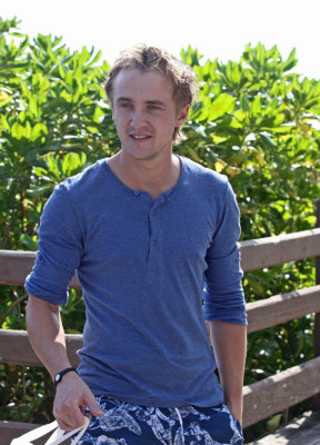 Tom Felton pic #653079