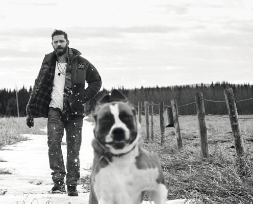 photo 7 in Tom Hardy gallery [id838468] 2015-10-20 00:00:00