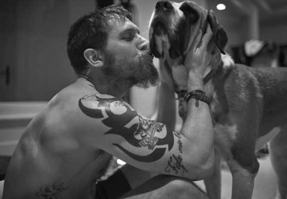 Tom Hardy pic #838476