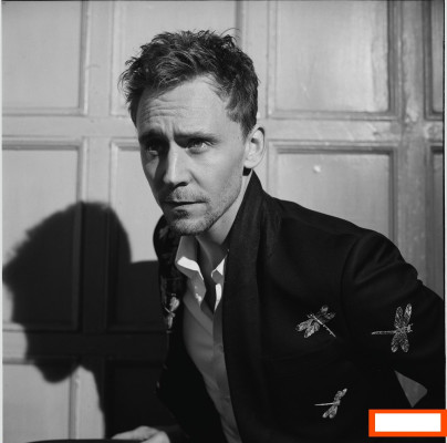 photo 26 in Tom Hiddleston gallery [id628892] 2013-04-26 00:00:00