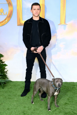 Tom Holland