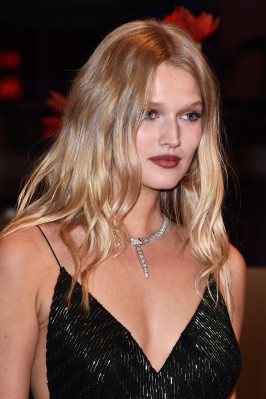 Toni Garrn pic #989292