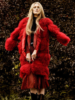 Toni Garrn pic #761266
