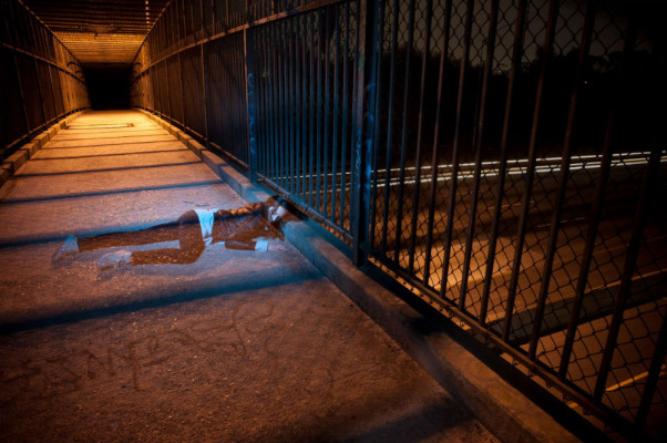 Troian Avery Bellisario pic #601409