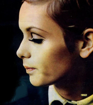 Twiggy pic #175568