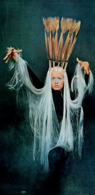 Twiggy pic #175569