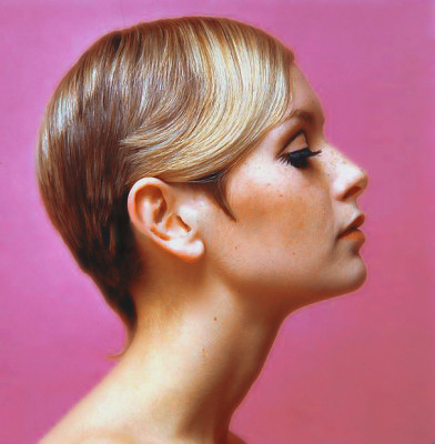 Twiggy pic #257328