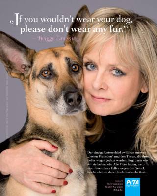 Twiggy pic #376101