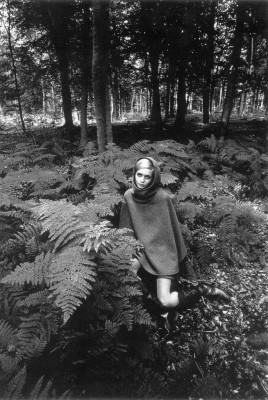 Twiggy pic #138761
