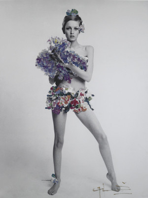 Twiggy pic #373546