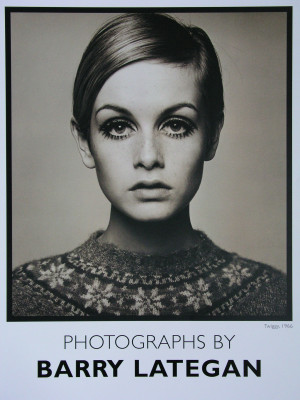 Twiggy pic #376098