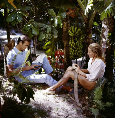 photo 3 in Ursula Andress gallery [id505152] 2012-05-01 00:00:00