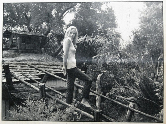 photo 5 in Ursula Andress gallery [id504508] 2012-04-30 00:00:00