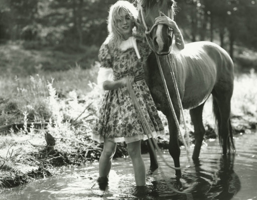 photo 3 in Sipp gallery [id1237751] 2019-12-17 00:00:00