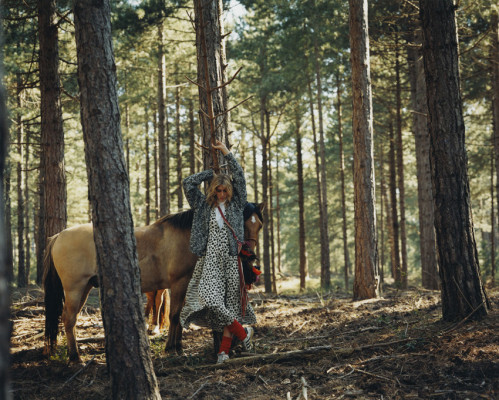 photo 6 in Sipp gallery [id1237748] 2019-12-17 00:00:00