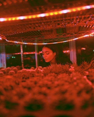 Vanessa Hudgens – Wonderland Magazine Summer 2019 Photos
