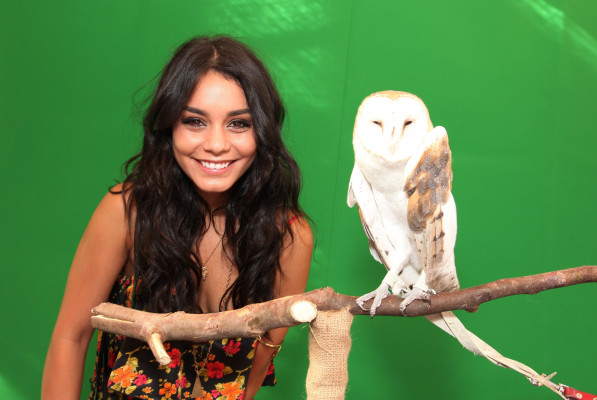 Vanessa Hudgens pic #301659
