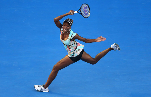 Venus Williams pic #599180