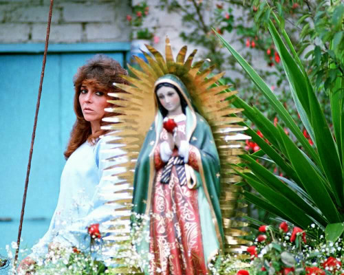 Veronica Castro - Rosa Salvaje (1987-1988)