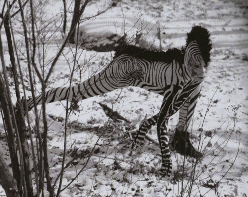 Veruschka von Lendorff pic #397599
