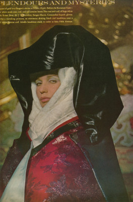 photo 16 in Veruschka von Lendorff gallery [id255825] 2010-04-09 00:00:00