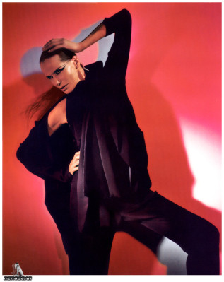 Veruschka von Lendorff pic #8239