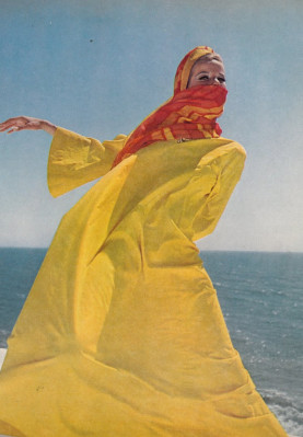 Veruschka von Lendorff pic #348050