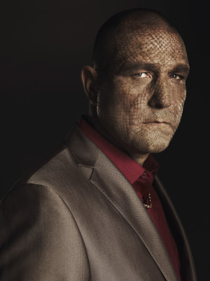 Vinnie Jones pic #546645