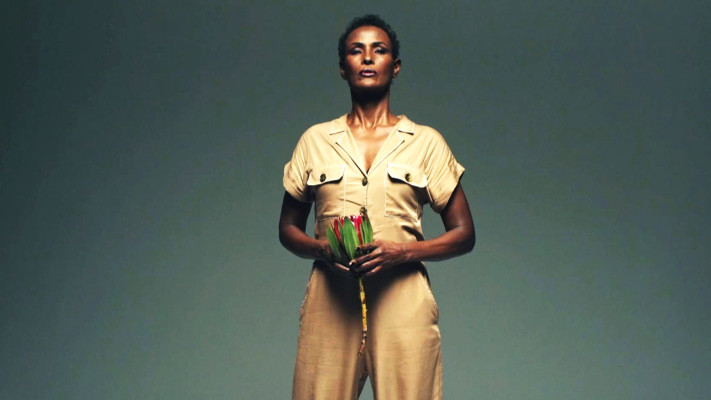 Waris Dirie pic #1204696