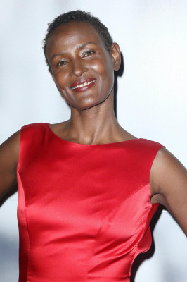 Waris Dirie pic #1204710